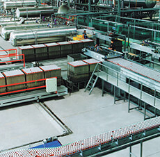 包裝現(xiàn)場文字